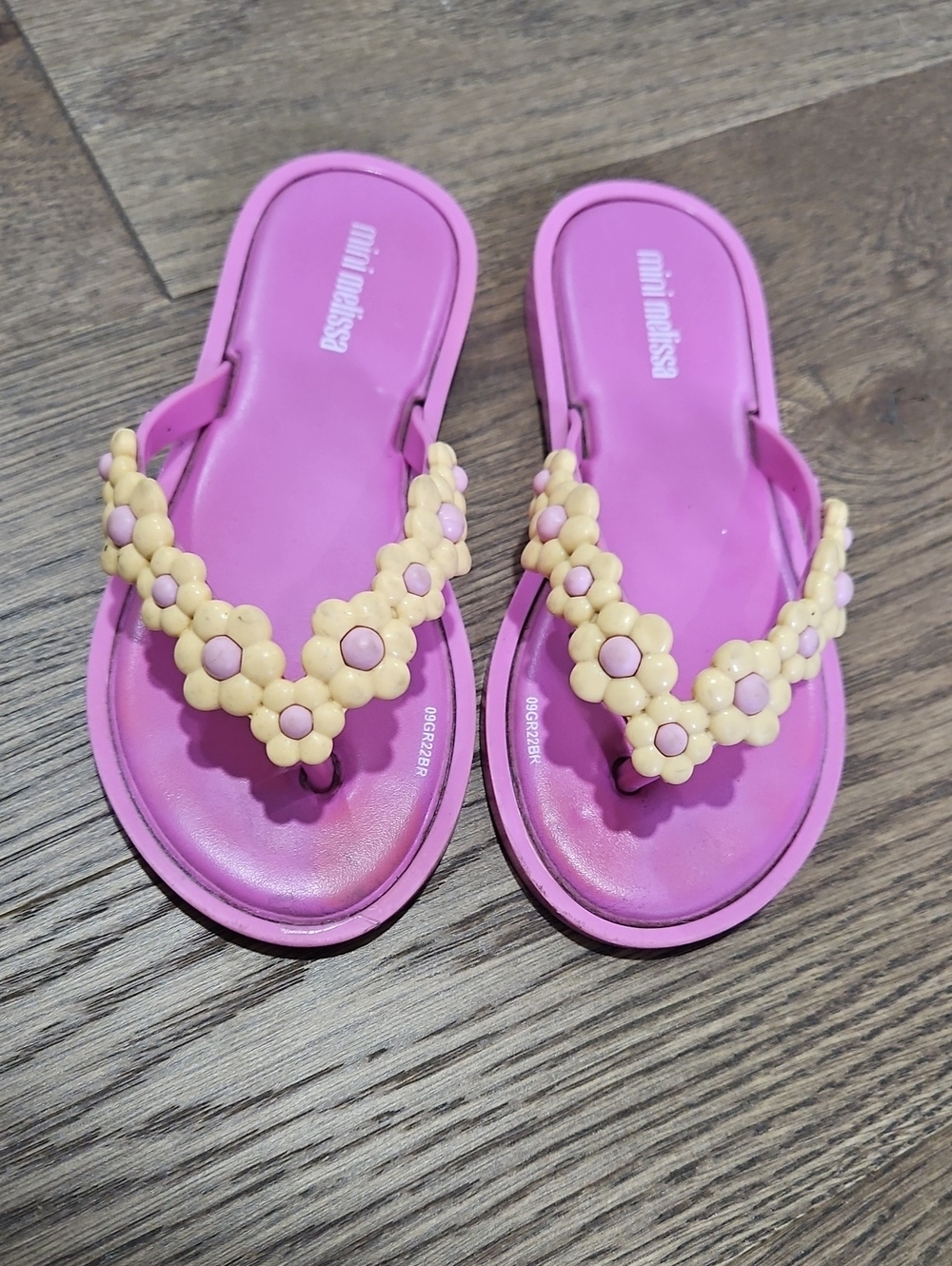 Mini MELISSA